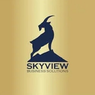 Skyview Business Solutions